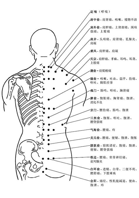 背穴|背部穴道：為什麼需要按摩背部穴道？